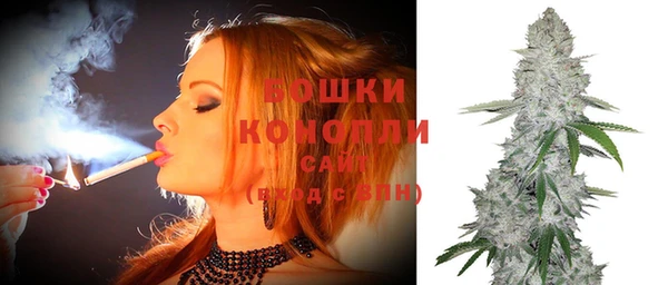 стафф Дмитровск