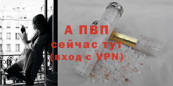МДПВ Ельня