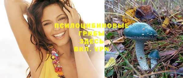 стафф Дмитровск