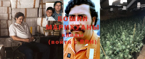 стафф Дмитровск