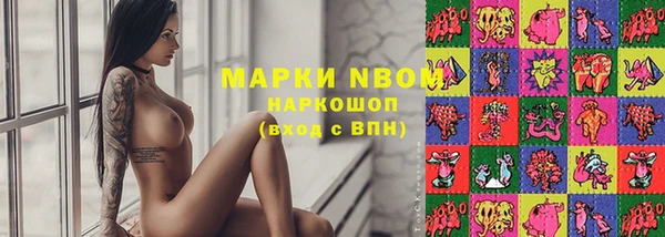 МДПВ Ельня