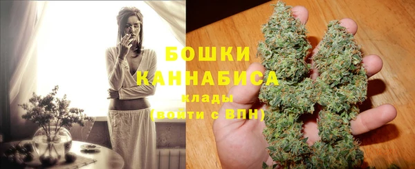 СК Дмитров