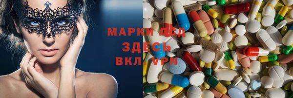 ГАЛЛЮЦИНОГЕННЫЕ ГРИБЫ Елизово