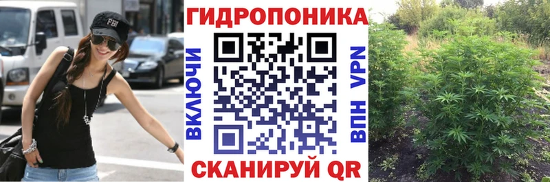 Бошки марихуана план  Купить закладки  Каргат 